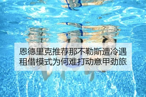 恩德里克推荐那不勒斯遭冷遇 租借模式为何难打动意甲劲旅